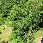 Silvias - Mit Seeblick Am Uferpark Ueberlingen, Bodensee דירה *