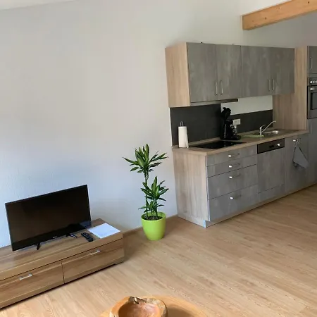 Daire Silvias - Mit Seeblick Am Uferpark Ueberlingen, Bodensee