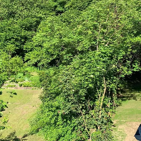 Silvias - Mit Seeblick Am Uferpark Ueberlingen, Bodensee Daire *